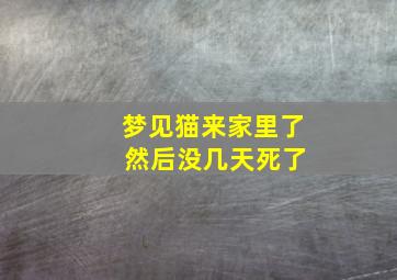 梦见猫来家里了 然后没几天死了